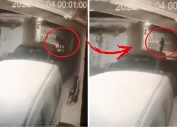 Sinistro: câmera flagra cachorro se transformando em mulher no México