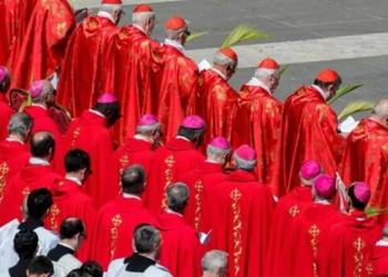 Papa aceita renúncia de bispo após escândalo de orgia gay