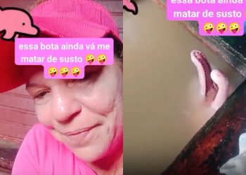 No Amazonas é assim: ribeirinha quase infarta ao encontrar boto enquanto lavava louça