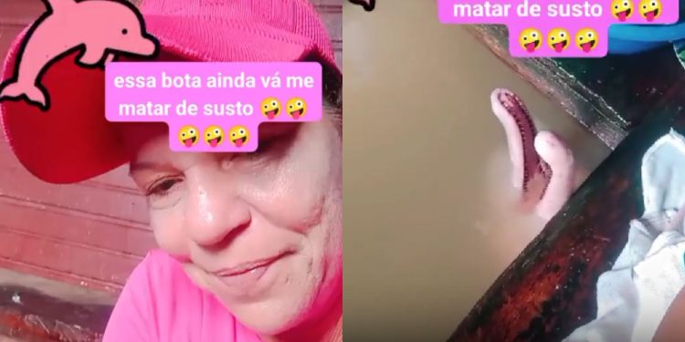 No Amazonas é assim: ribeirinha quase infarta ao encontrar boto enquanto lavava louça