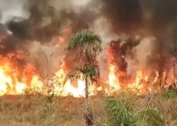 Perguntas, perguntas, perguntas?