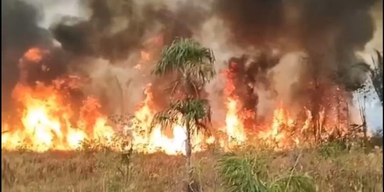 Perguntas, perguntas, perguntas?