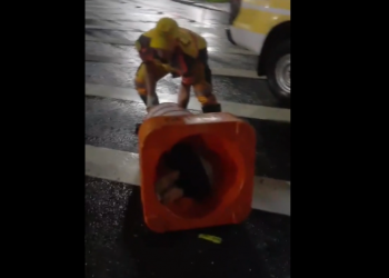 Um homem ficou entalado em um cone de trânsito e precisou ser resgatado nesta segunda-feira (30) por funcionários. Vídeo: