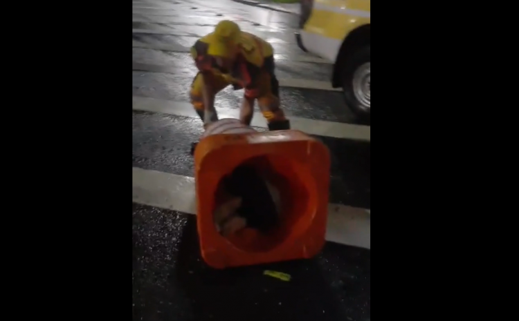 Um homem ficou entalado em um cone de trânsito e precisou ser resgatado nesta segunda-feira (30) por funcionários. Vídeo: