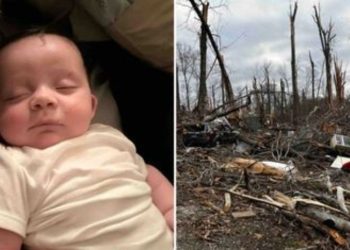 Um bebê foi achado vivo em cima de uma árvore caída após ter sido levado por um tornado no Tennessee, nos Estados Unidos. Tornado leva