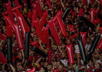 Flamengo lidera ranking de público no Brasileiro