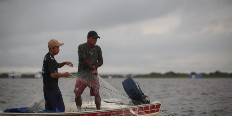 A expectativa para o próximo ano é de que o mercado de trabalho não deverá repetir o crescimento de 2023.