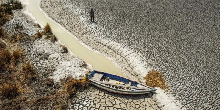 2023 será o ano mais quente já registrado, dizem cientistas
