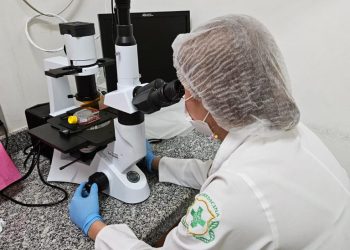 Estudo analisa bioativos naturais como alternativa mais eficaz e menos invasiva no tratamento do câncer