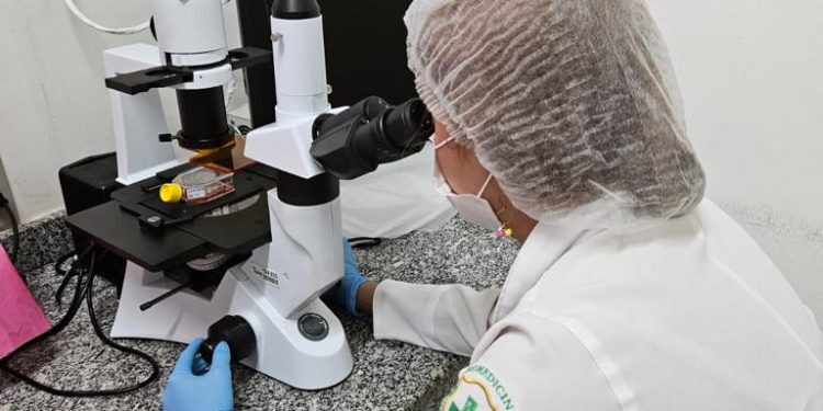 Estudo analisa bioativos naturais como alternativa mais eficaz e menos invasiva no tratamento do câncer