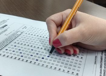 Oportunidades Vagas Processos Seletivos