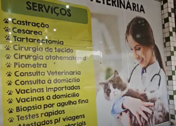 PDEX’s: Estimania Pet Shop