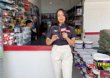 PDEX: Madeireira lenhador