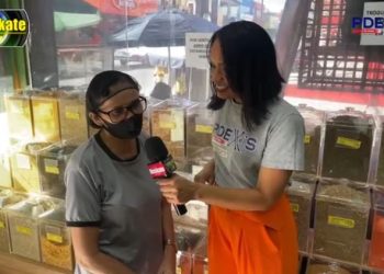 Mundo do Cereal – PDEX