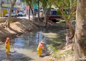 Prefeitura implanta ecobarreiras em Igarapé na zona Leste de Manaus