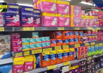 Adão e Eva Supermecados – PDEX