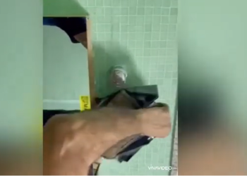 Cães da RF encontram drogas em espelho no Aeroporto de Manaus
