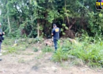 IML faz remoção de cadáver no ZL de Manaus