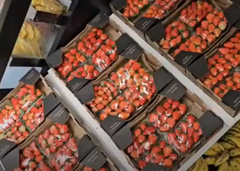 Pdex’s: Frutaria Oliveira