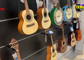 PDEX: Celus – Importadora São Luiz – A loja do musico