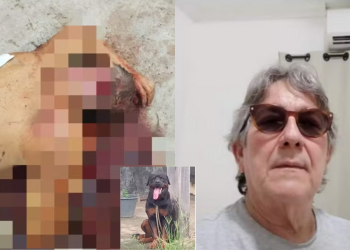 O empresário Henrique Borba teria sido atacado pelo cão da raça Rottweiler no momento que alimentava o animal. Empresário é
