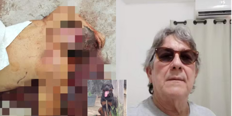O empresário Henrique Borba teria sido atacado pelo cão da raça Rottweiler no momento que alimentava o animal. Empresário é