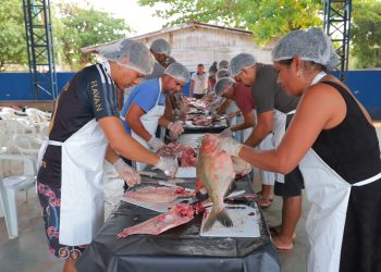 Governo do Amazonas oferece cursos gratuitos para produtores rurais da zona rural de Manaus