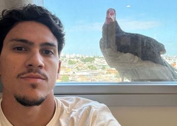 Urubu ‘acorda’ o atacante Pedro do Flamengo, em Manaus