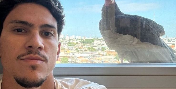 Urubu ‘acorda’ o atacante Pedro do Flamengo, em Manaus