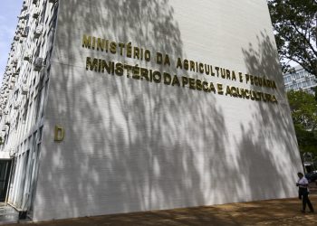 Ministério da Pesca terá concurso público para 264 vagas temporárias de nível superior