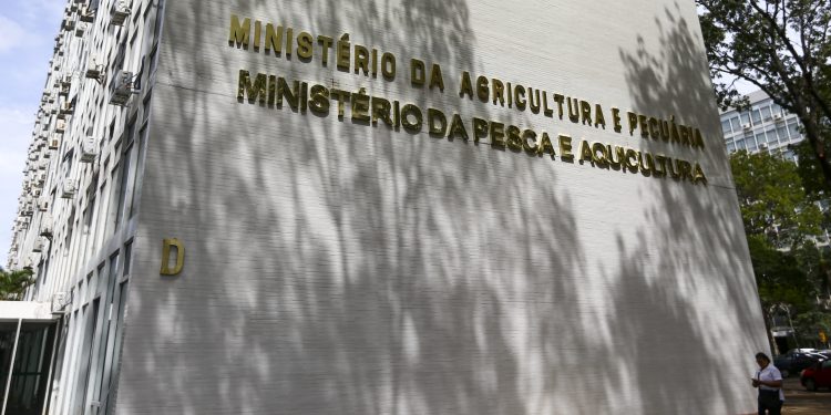 Ministério da Pesca terá concurso público para 264 vagas temporárias de nível superior