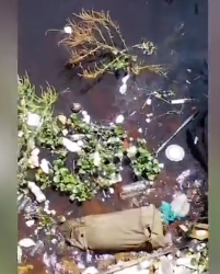 Cadáver esquartejado é encontrado no Porto de Manaus em sacola do EB