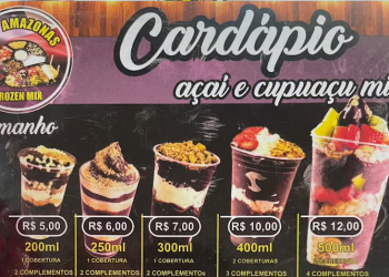 Açai Amazonas Frozen Mix – PDEX