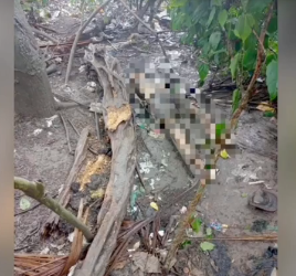 Em estado de decomposição, corpo é achado dentro de condomínio em Manaus