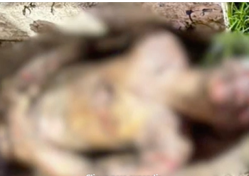 Tentou roubar fiação elétrica e morreu
