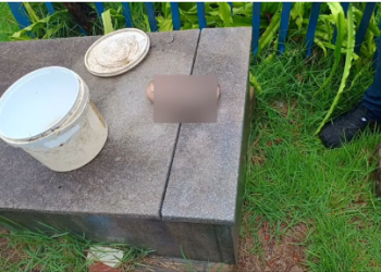 MAGIA NEGRA? Feto encontrado em cemitério em Manaus estava com a cabeça costurada