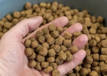 Gerente é demitido após presentear subordinadas com ração pelo Dia das Mulheres