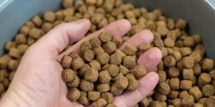 Gerente é demitido após presentear subordinadas com ração pelo Dia das Mulheres