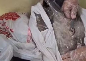 Passageiro de Manaus é preso em aeroporto com maconha escondida em peixes