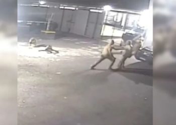 Policiais brigam por escala de trabalho e acabam atacados por cães; VÍDEO