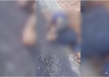 TRAGÉDIA: Jovem é atropelado e morre na BR-174