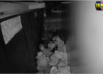 MENTES DO MAL – Dupla é presa por furto a agência bancária no AM