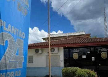 COVARDE – Marido tenta matar mulher com golpes de madeira no rosto