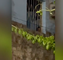 ABANDONADA – Mãe é presa após deixar filha de 2 anos sozinha em casa