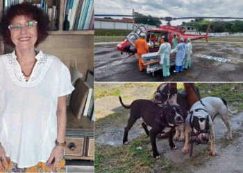 A escritora Roseana Murray, de 73 anos, atacada por pelo menos três pitbulls nesta sexta-feira (5) em; Escritora é