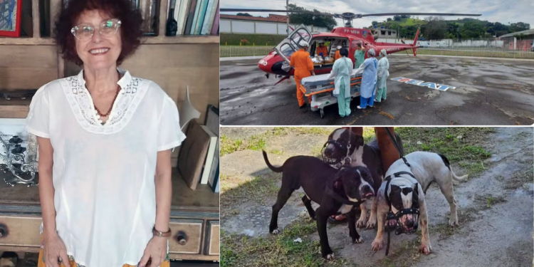 A escritora Roseana Murray, de 73 anos, atacada por pelo menos três pitbulls nesta sexta-feira (5) em; Escritora é