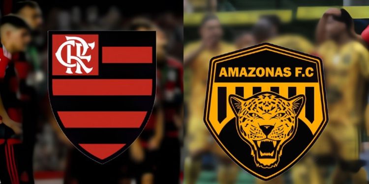 Defensoria entra com ação para diminuir valores dos ingressos no jogo entre Flamengo e Amazonas FC