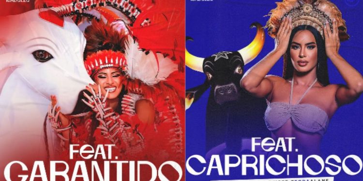 BBB 24: Caprichoso e Garantido se unem para apoiar Isabelle Nogueira