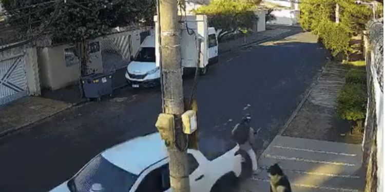 Um motorista de 43 anos atropelou um criminoso e livrou uma enfermeira, de 28, de ser assaltada em. Motorista atropela