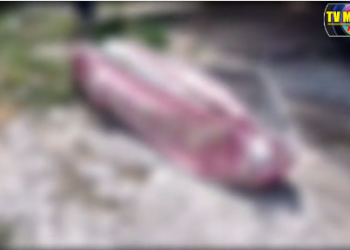 URGENTE: Corp0 apodrecendo é encontrado em área de mata no Jorge Teixeira em Manaus